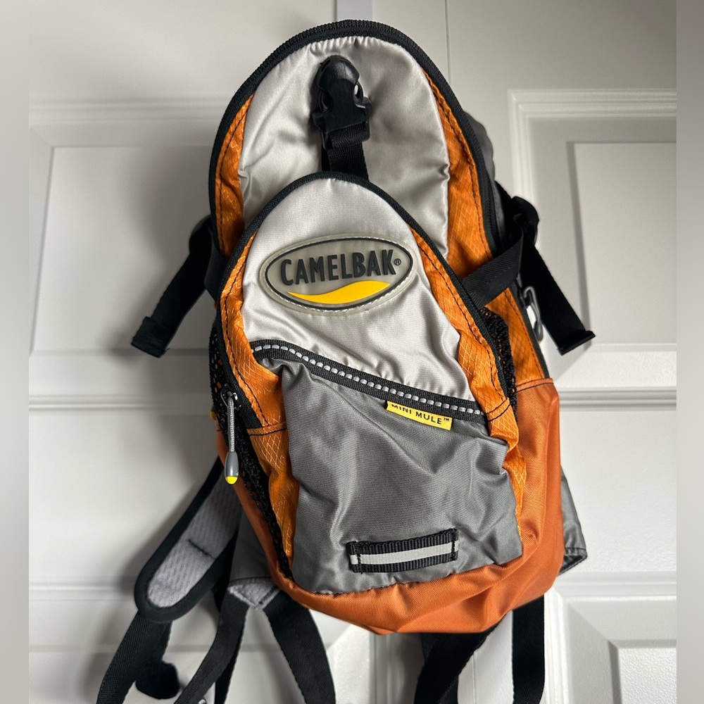CamelBak Orange and Gray Backpack